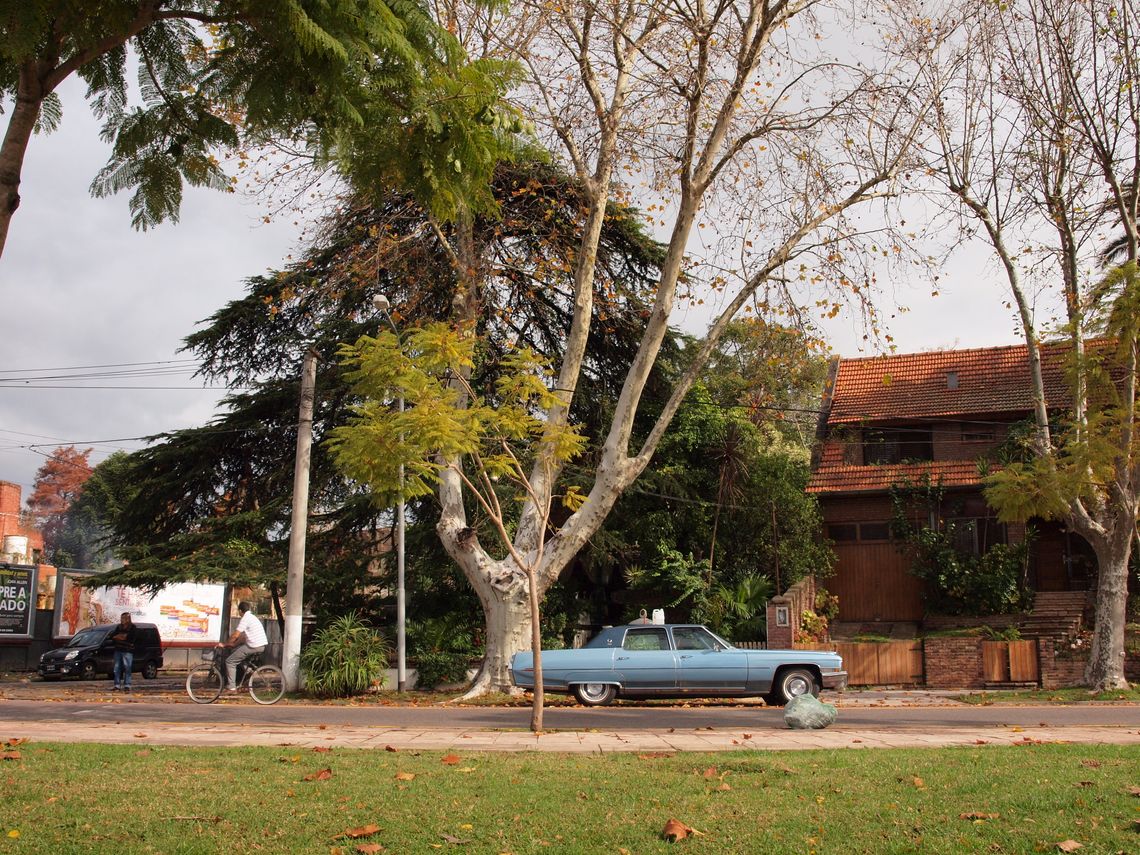 Tigre, Argentina