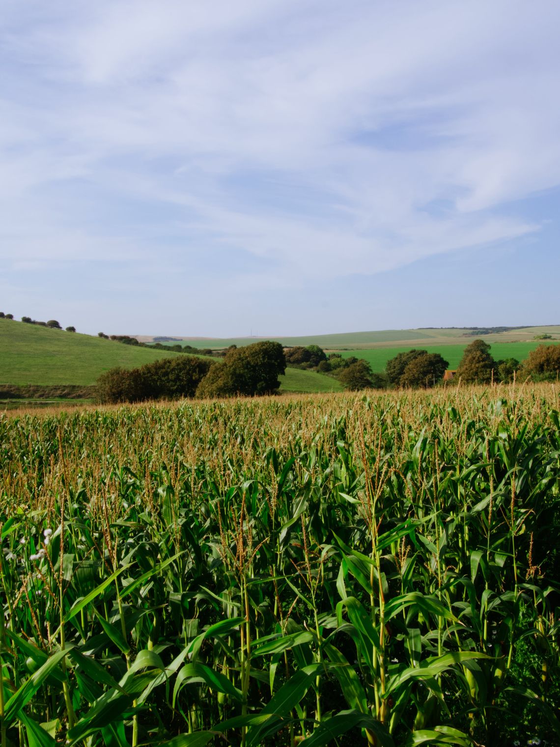 Lewes to Seaford, England, UK