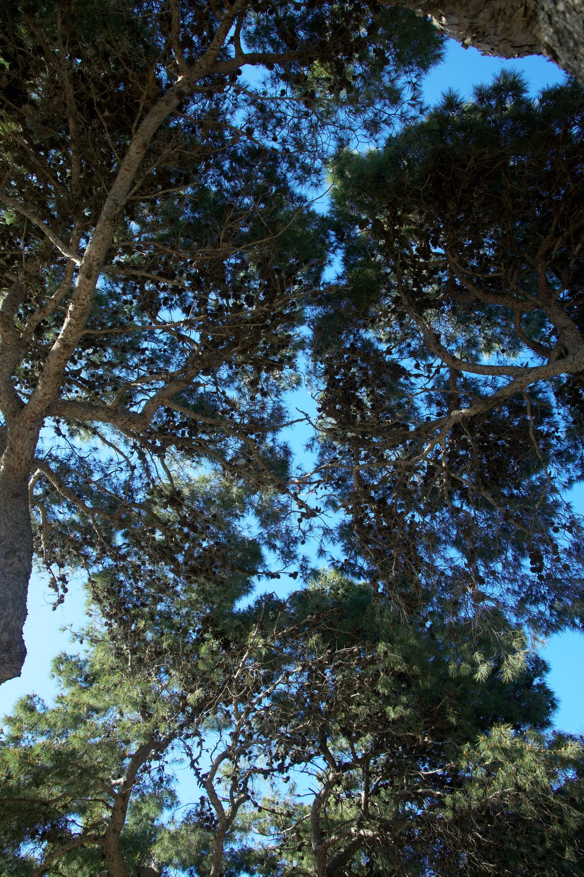 Rabat, Malta