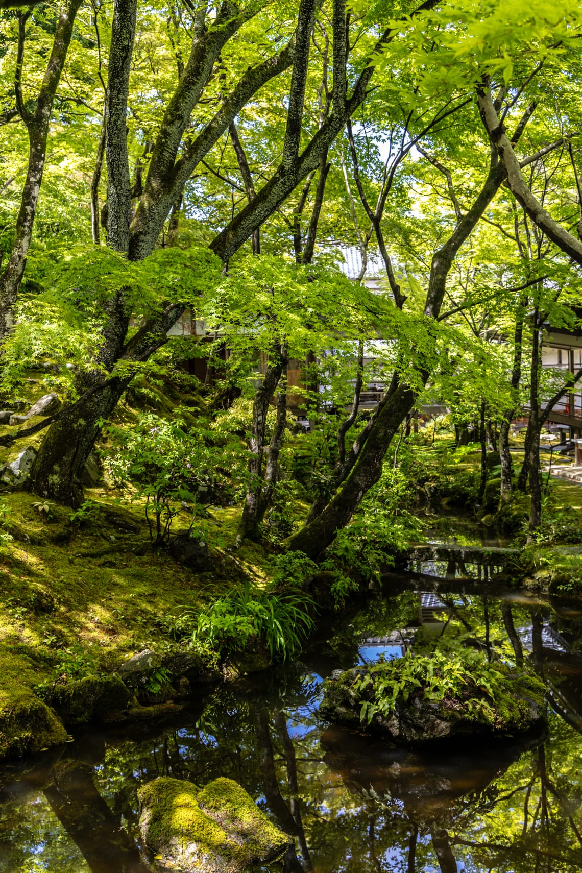 Kyoto, Japan