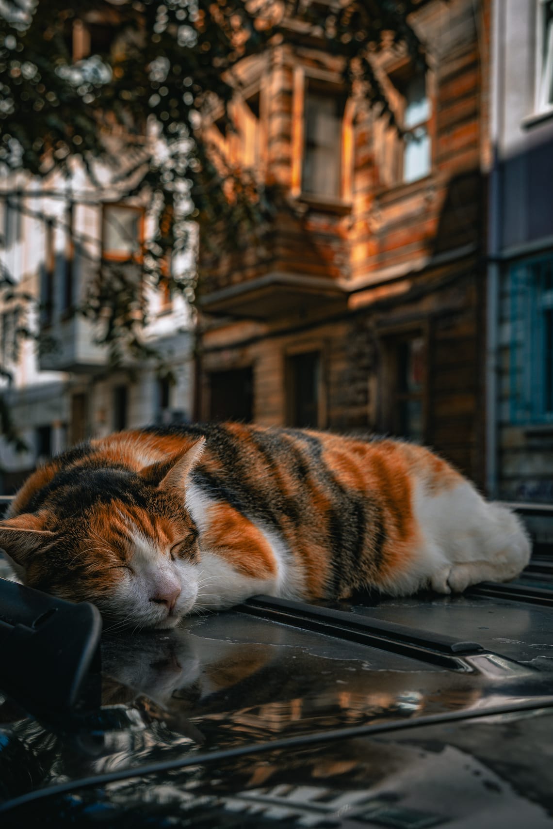 Istanbul, Türkiye