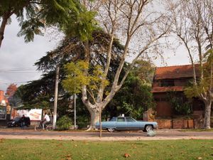 Tigre, Argentina