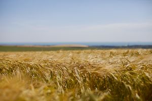 South Downs National Park, England