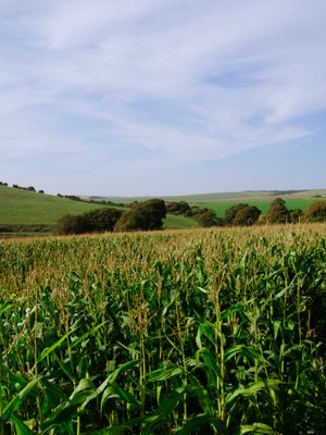 Lewes to Seaford, England, UK