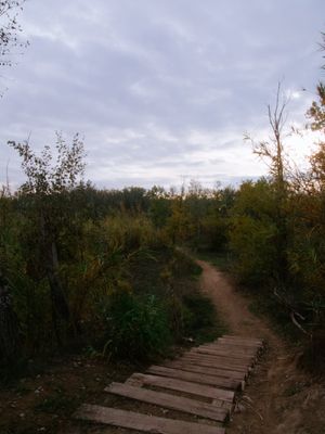 Lleida (Catalonia, Spain)