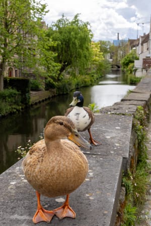 Bruges, Belgium