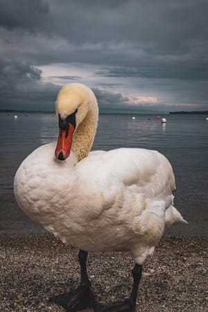 Geneva, Switzerland