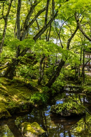 Kyoto, Japan