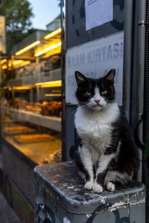 Istanbul, Türkiye