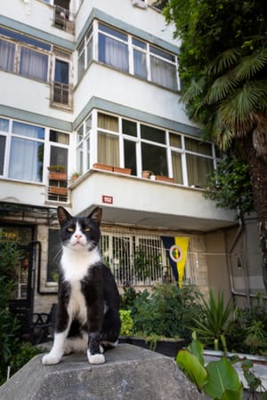 Istanbul, Türkiye