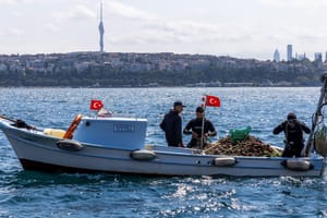 Istanbul, Türkiye